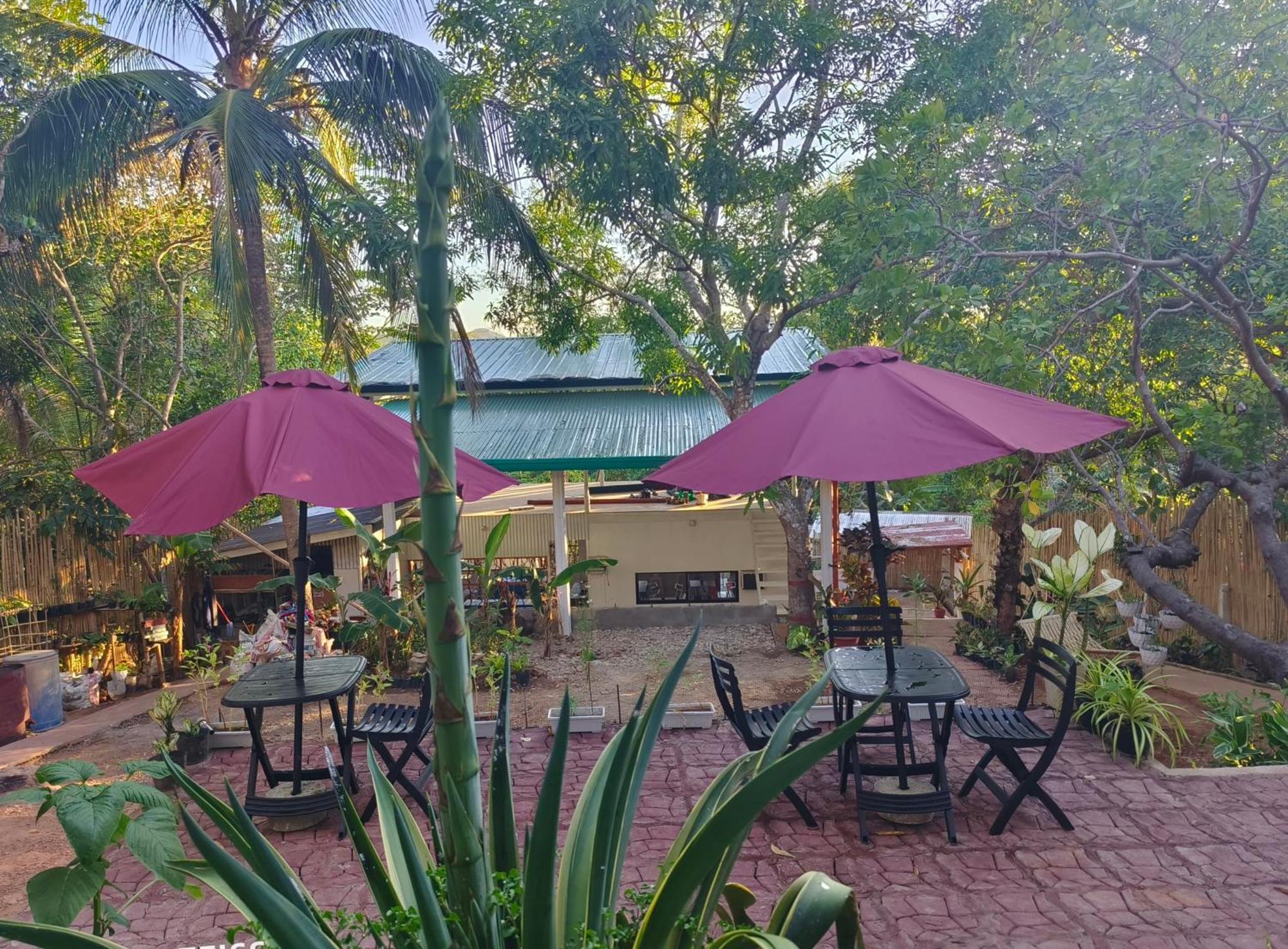 Ani Marie Guest House Coron Buitenkant foto